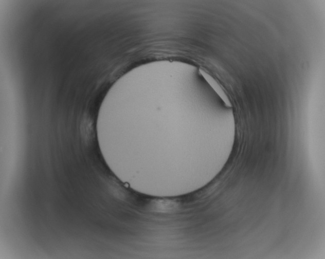 X0000111830327200908201156