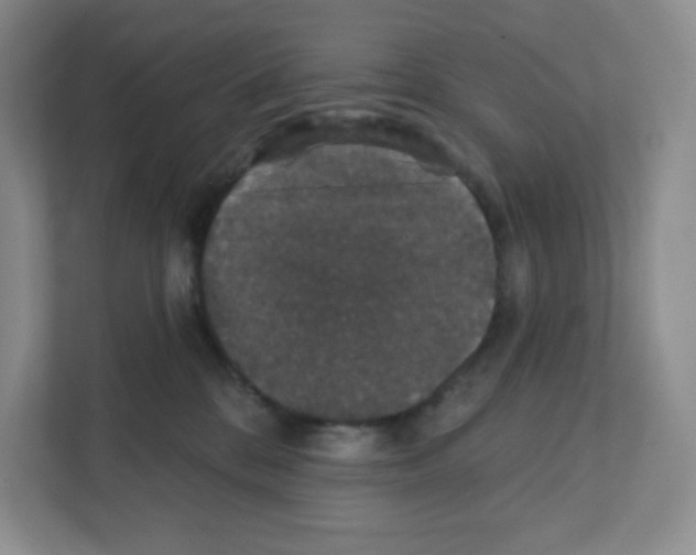 X0000111830328200908201156