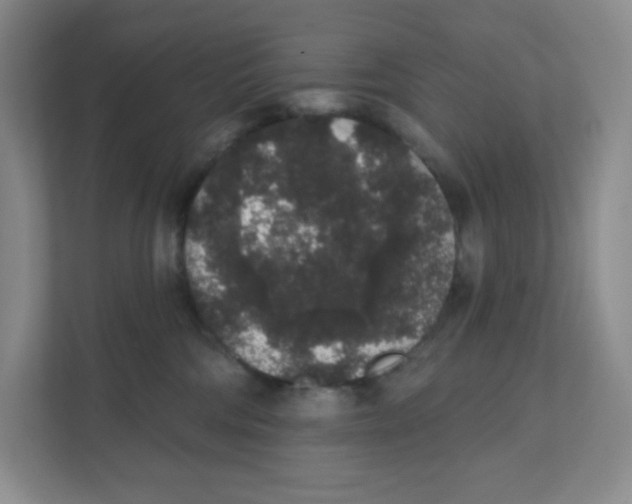 X0000111830330200908201156