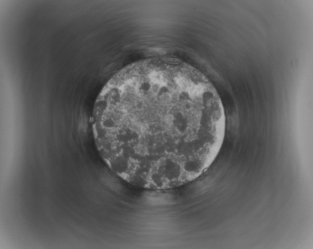 X0000111830331200908201156