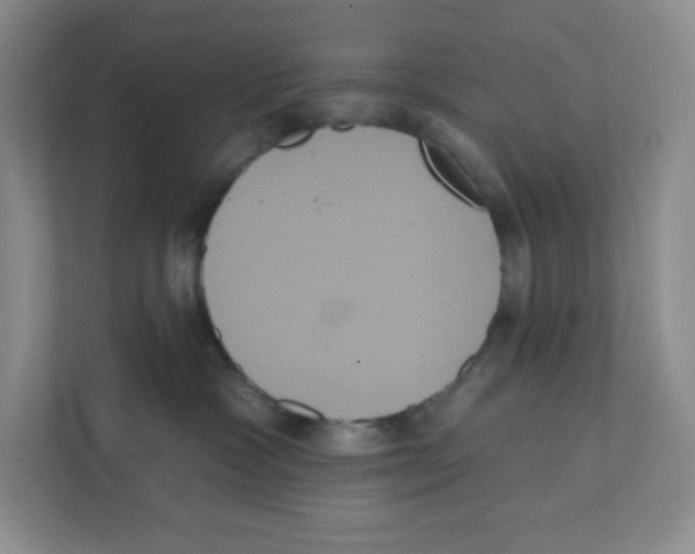 X0000111830333200908201156