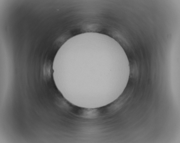 X0000111830334200908201156