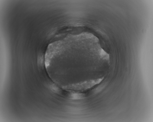 X0000111830336200908201156