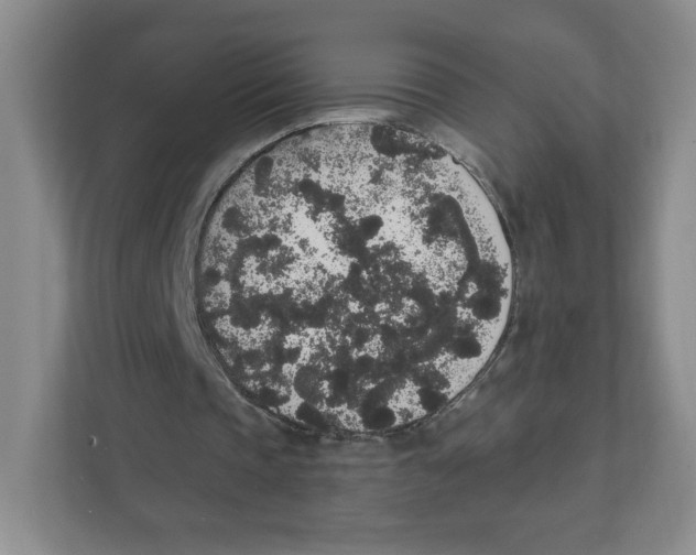 X0000111830337200908201155