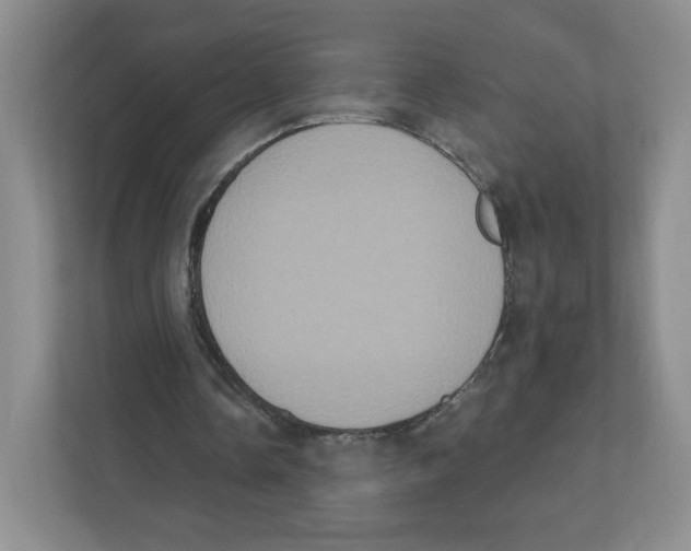 X0000111830338200908201155