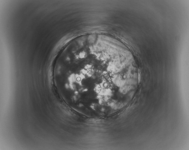 X0000111830339200908201155