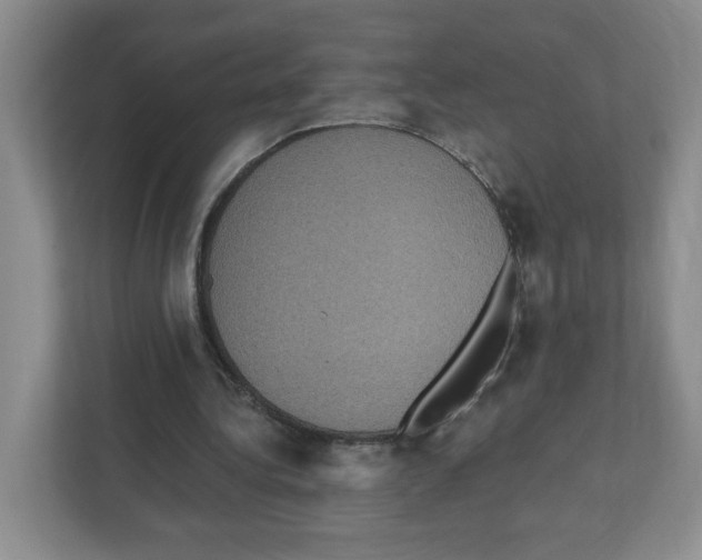 X0000111830340200908201155