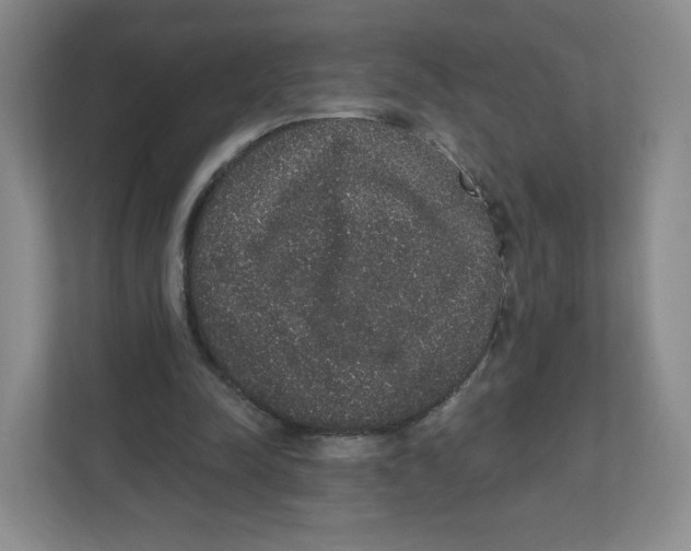 X0000111830342200908201155