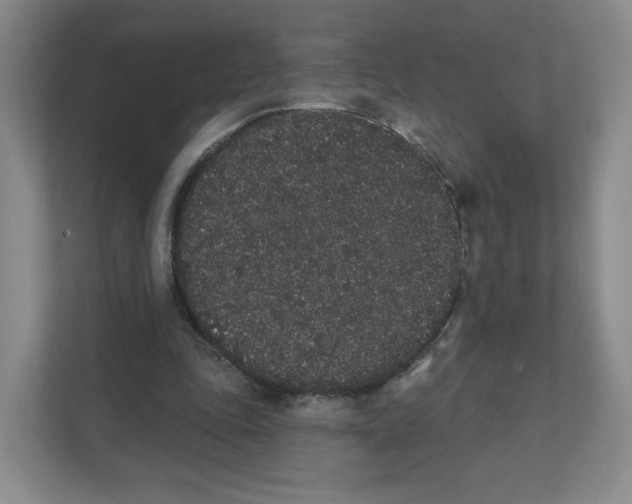 X0000111830343200908201156