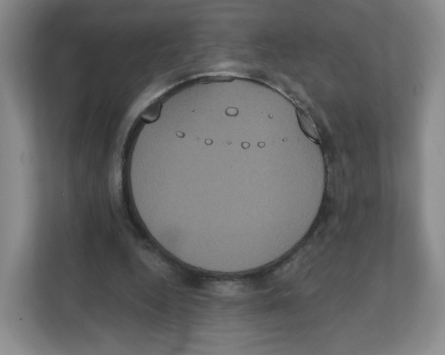 X0000111830344200908201156