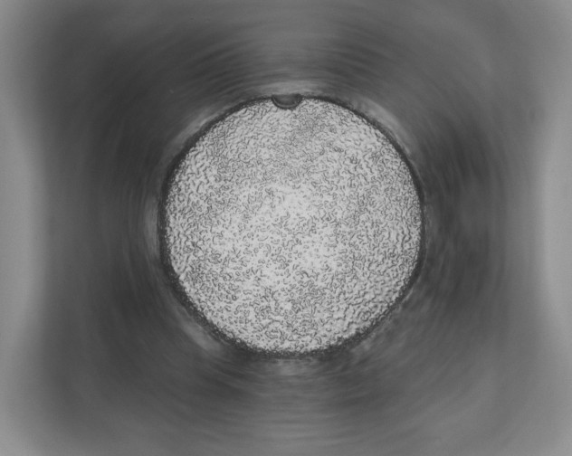 X0000111830345200908201156