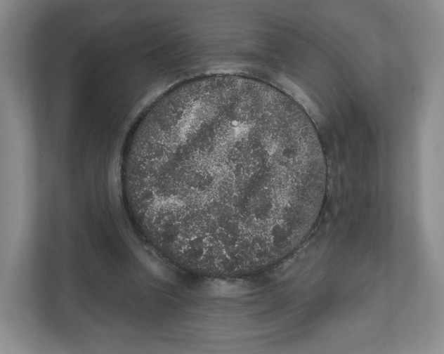 X0000111830346200908201156