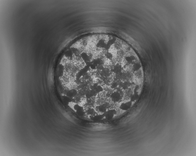 X0000111830347200908201156