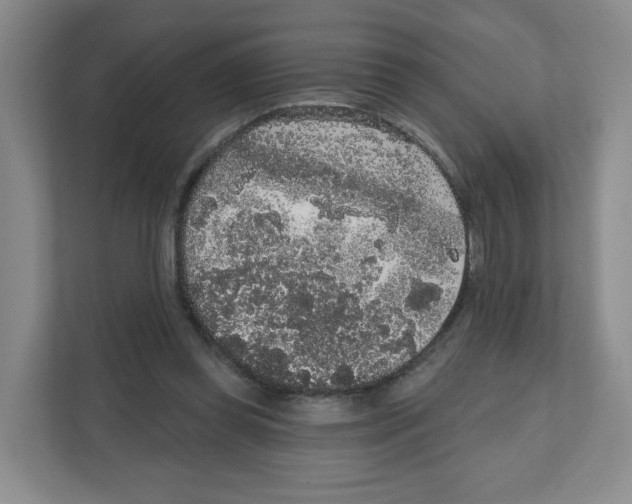 X0000111830349200908201156