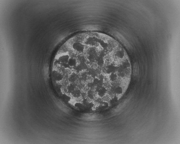 X0000111830351200908201156