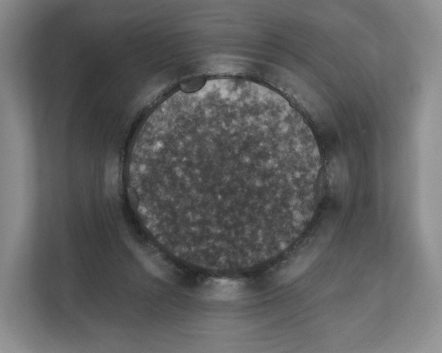 X0000111830352200908201156