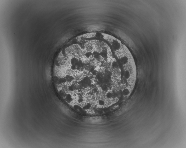 X0000111830353200908201156