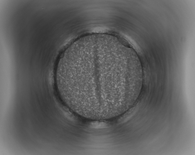 X0000111830354200908201156