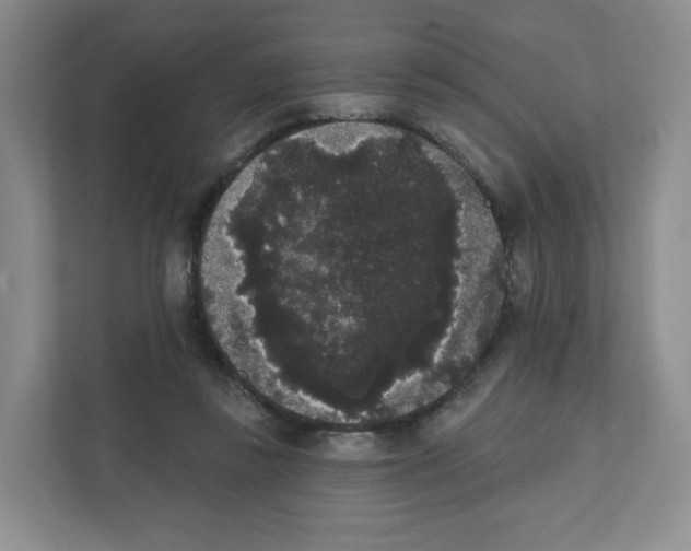 X0000111830355200908201156