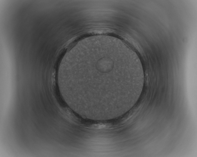 X0000111830356200908201156