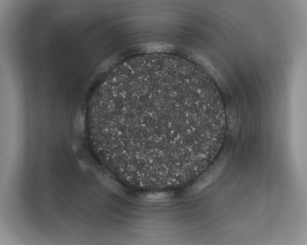 X0000111830357200908201156