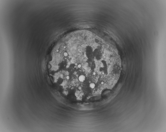 X0000111830359200908201156