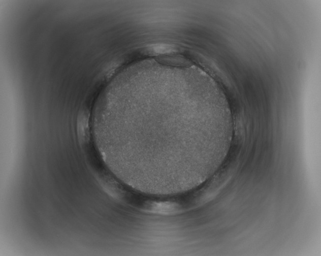 X0000111830360200908201156