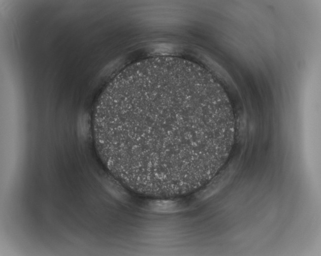 X0000111830361200908201156