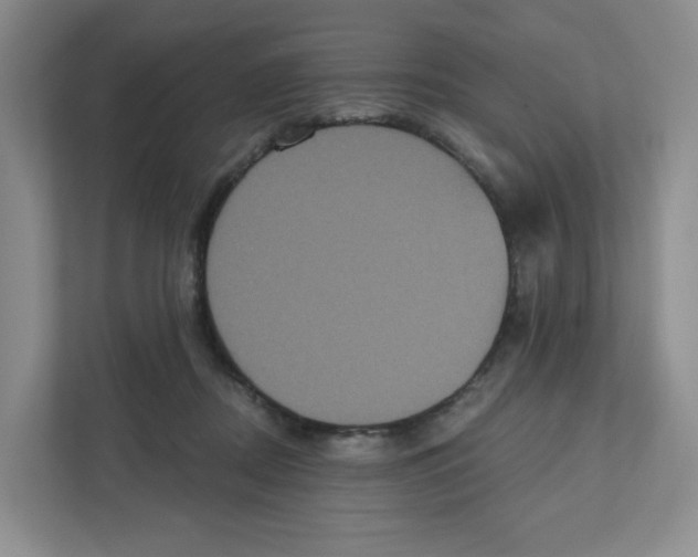 X0000111830362200908201156