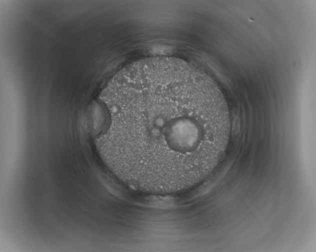 X0000111830363200908201156