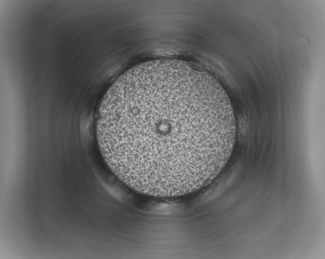 X0000111830364200908201156