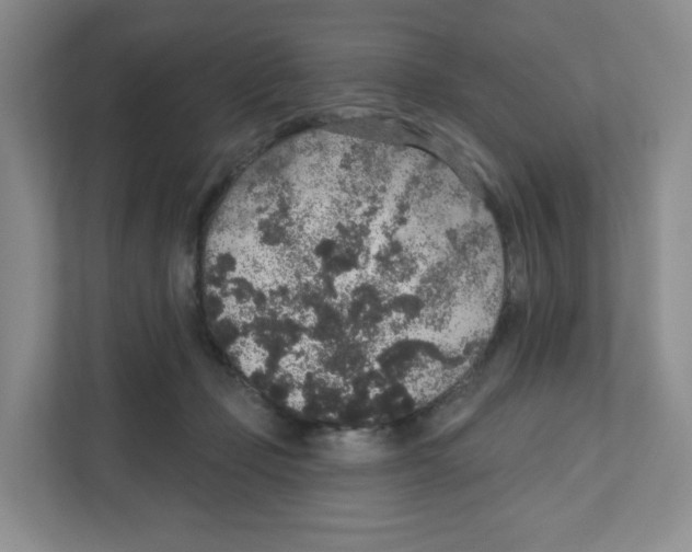 X0000111830365200908201156