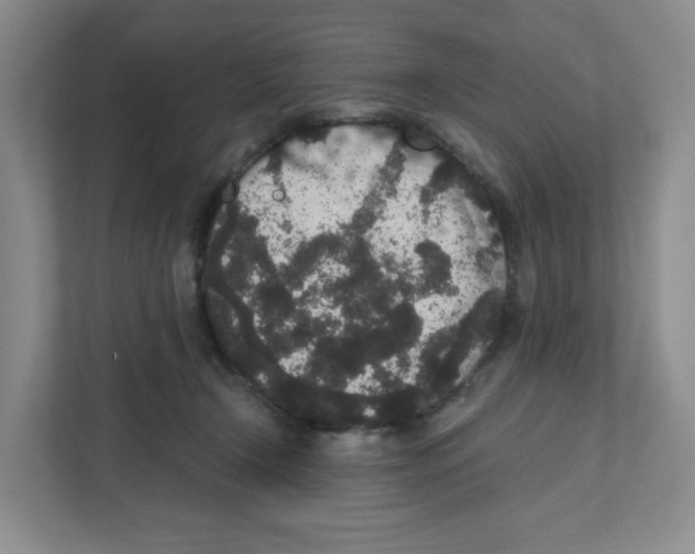 X0000111830366200908201156