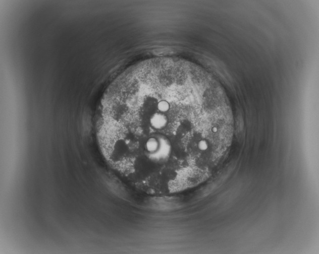 X0000111830367200908201156