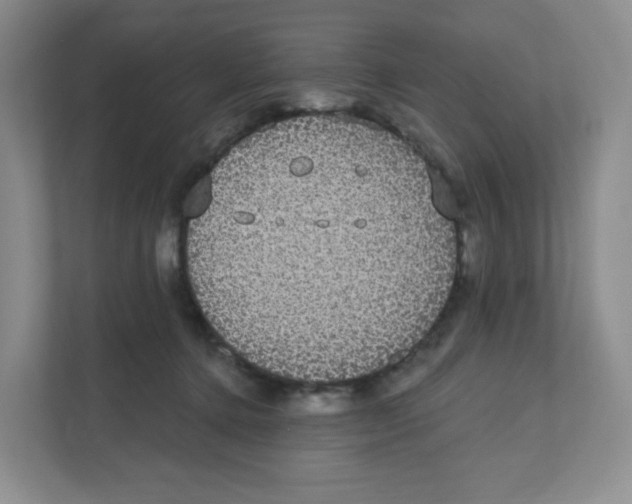 X0000111830368200908201156