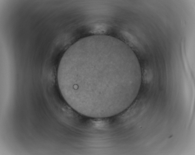 X0000111830370200908201156