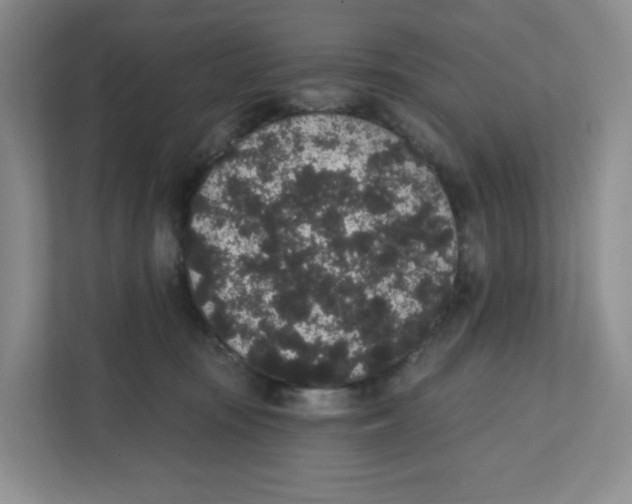 X0000111830371200908201156