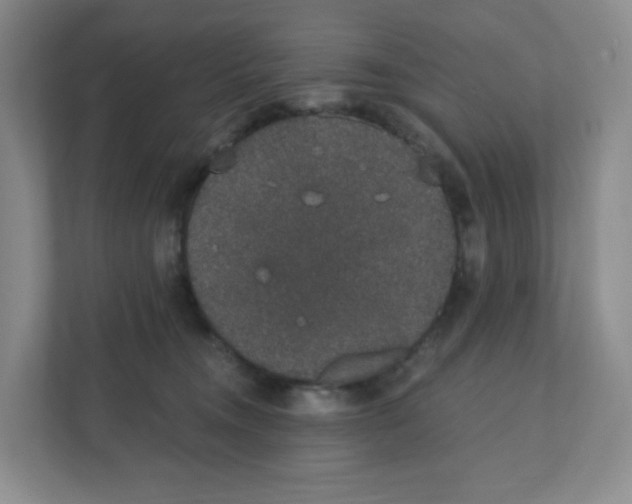 X0000111830372200908201156