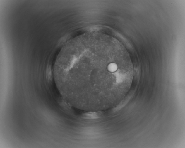 X0000111830381200908201156