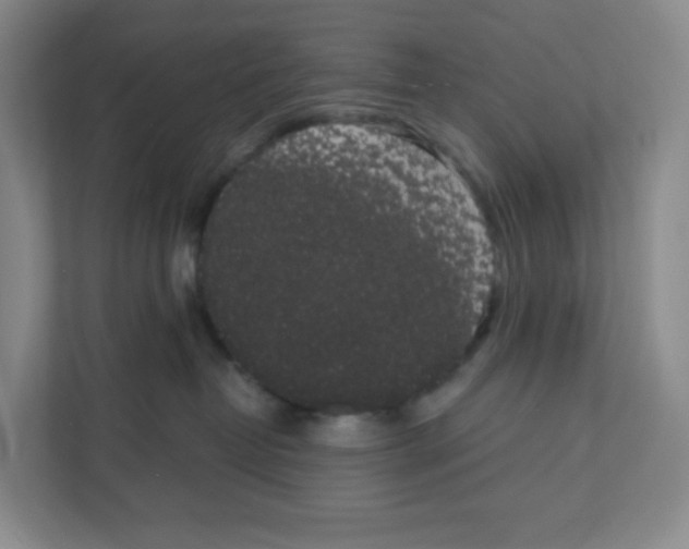 X0000111830382200908201156