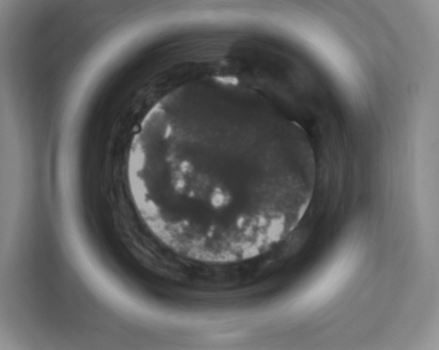 X0000111830383200908201156