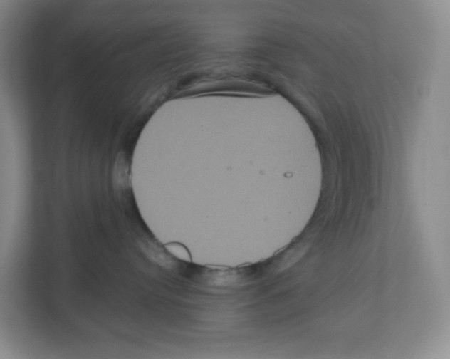 X0000111830384200908201156