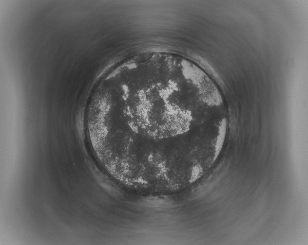 X0000111830386200908201155