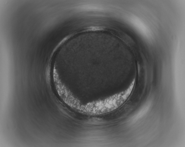 X0000111830387200908201155