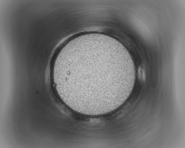 X0000111830388200908201155