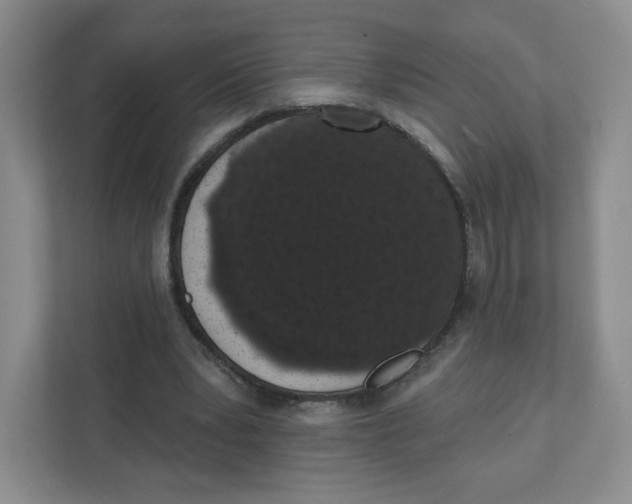 X0000111830391200908201155