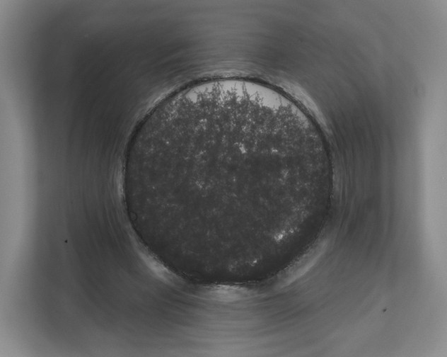 X0000111830393200908201155