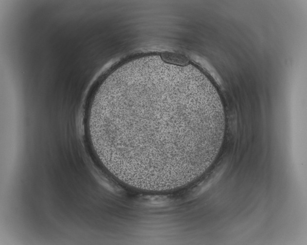 X0000111830395200908201155