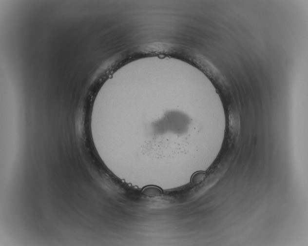 X0000111830396200908201155