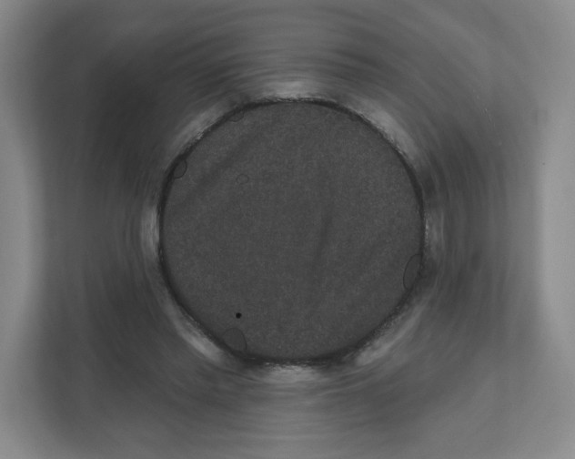 X0000111830397200908201155